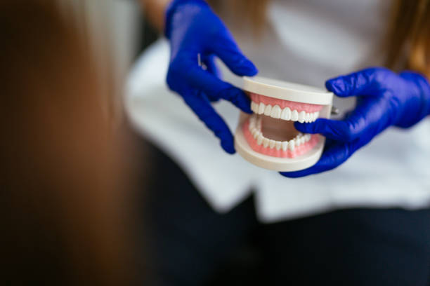 Best Traditional Braces  in Granite Falls, WA
